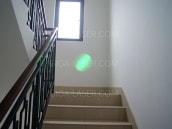 緑色ダイオードレーザーポインター　スポット照射